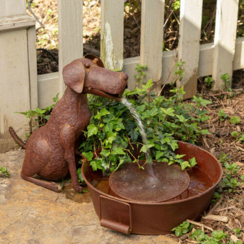 Dog Fountain Farm Tub Metal
