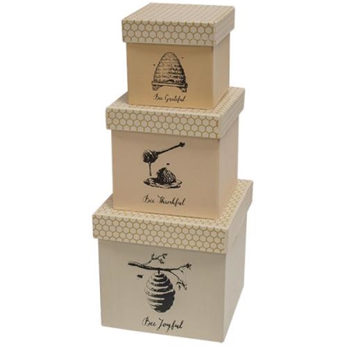 Honey Bee Boxes Set of 3